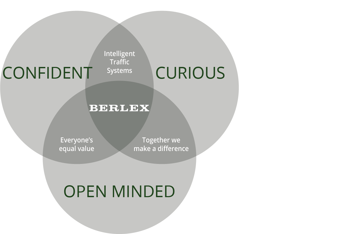 Berlex core values